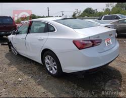 شيفروليه ماليبو